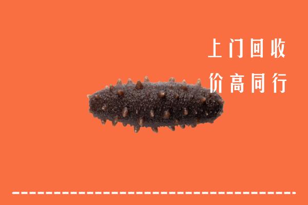 淄博高价回收海参
